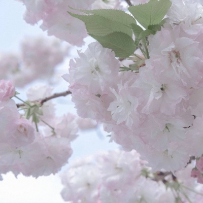 Furry插画构图解析FurryQQ群